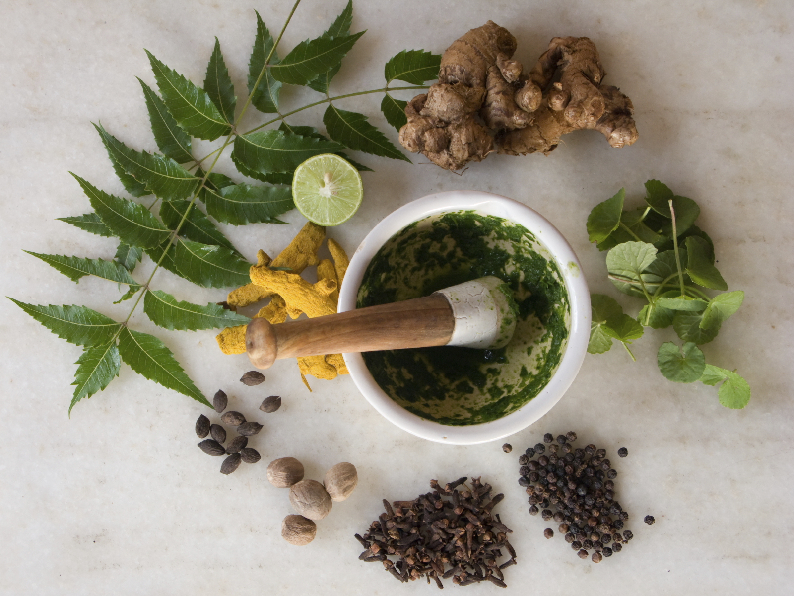 Ayurvedic herbs